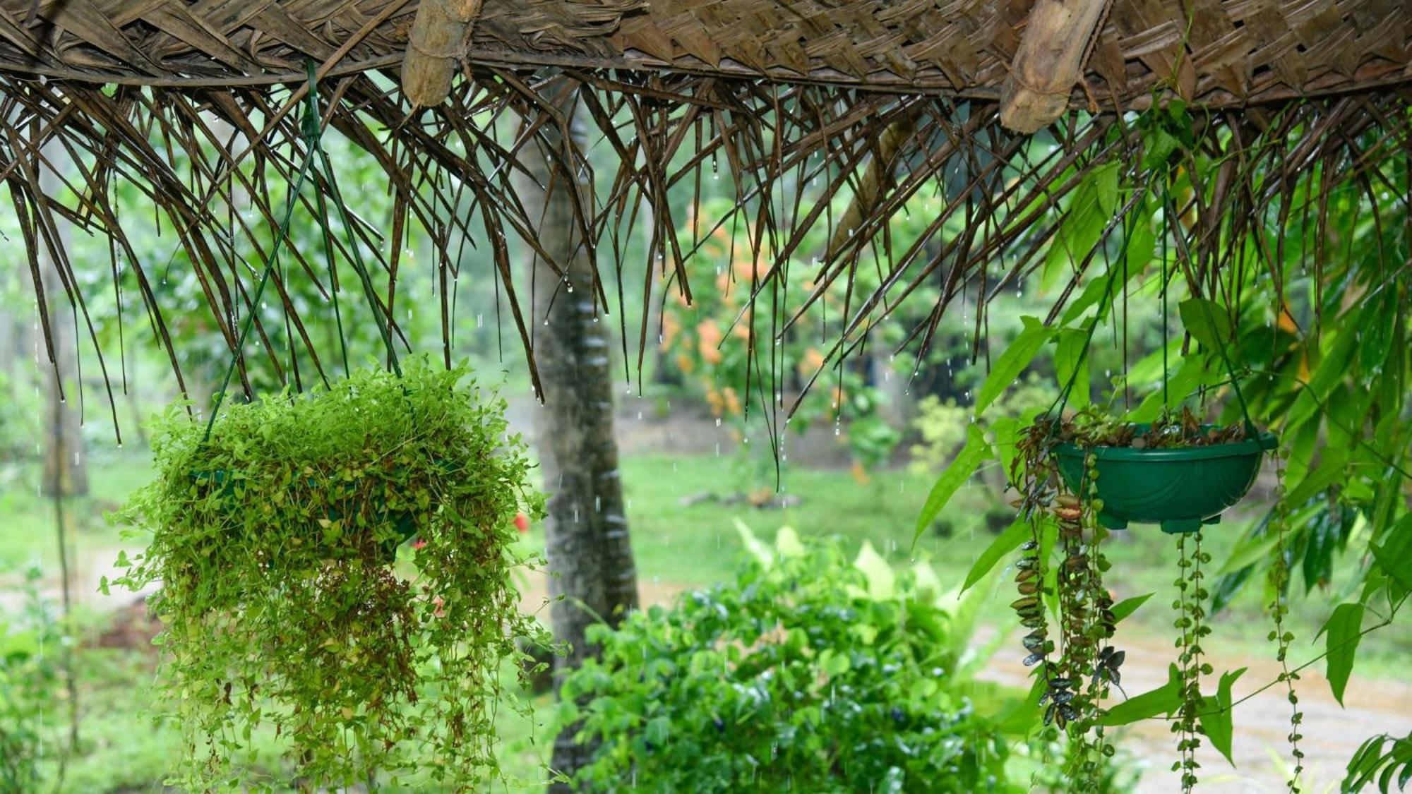 Prem Nadee Homestay ダンブッラ エクステリア 写真