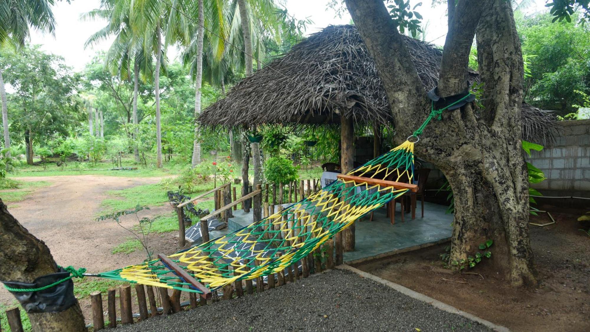 Prem Nadee Homestay ダンブッラ エクステリア 写真